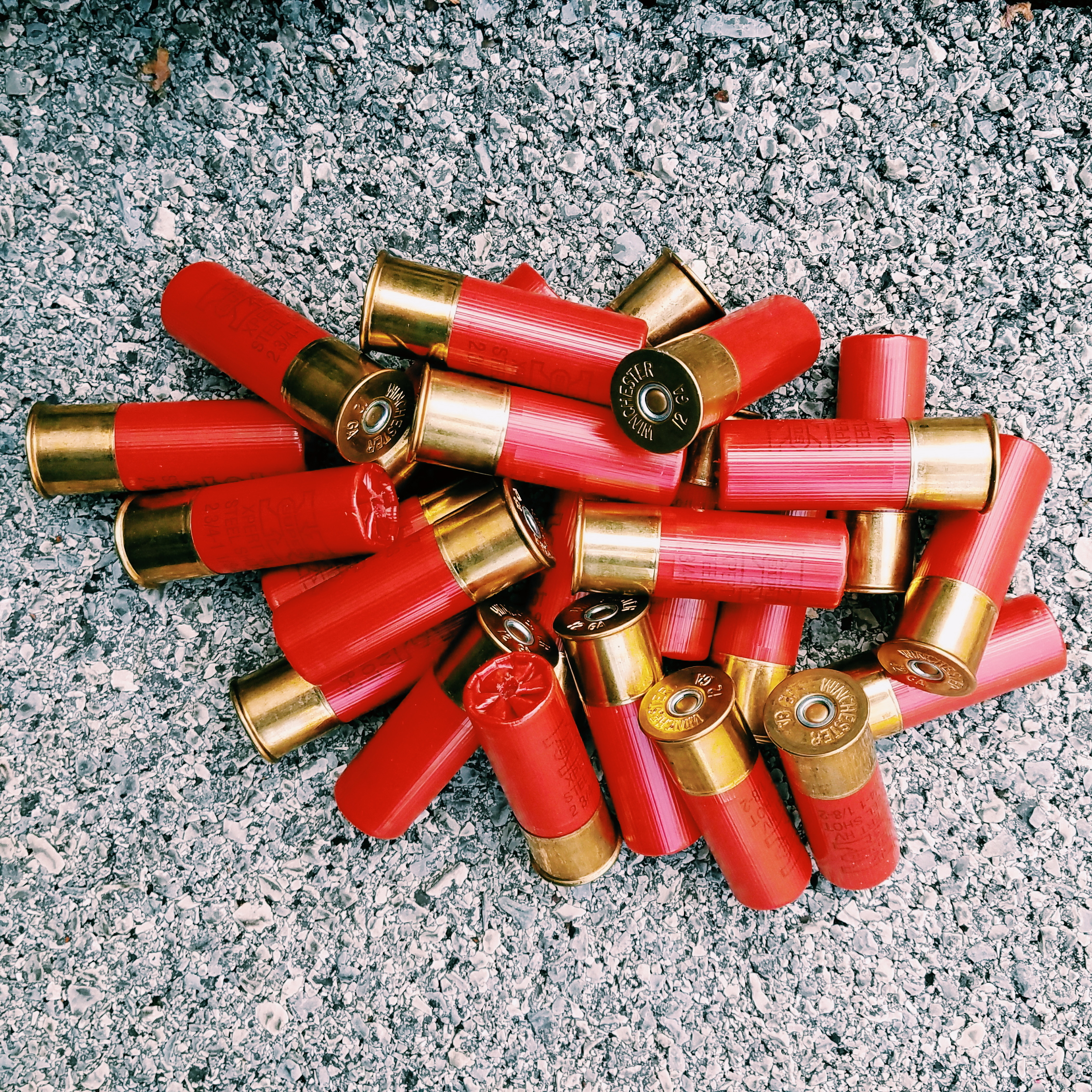 Overview of Shotgun Ammo: Gauges, Loads, Shots, Slugs and More