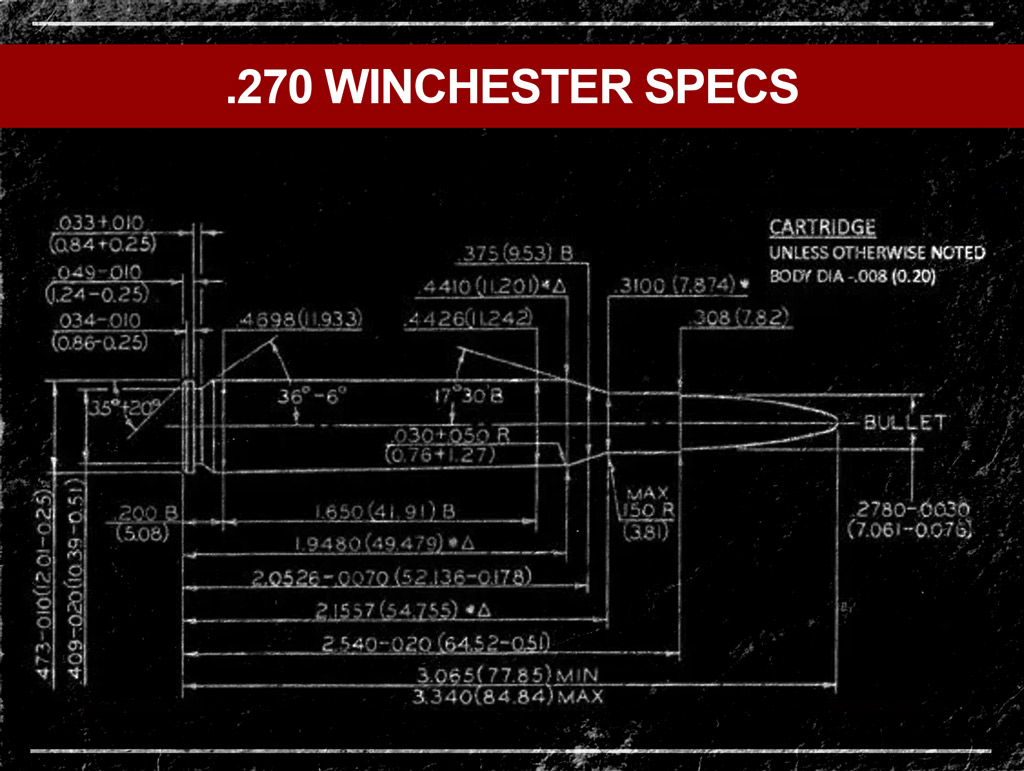 a diagram of the 270 winchester cartridge