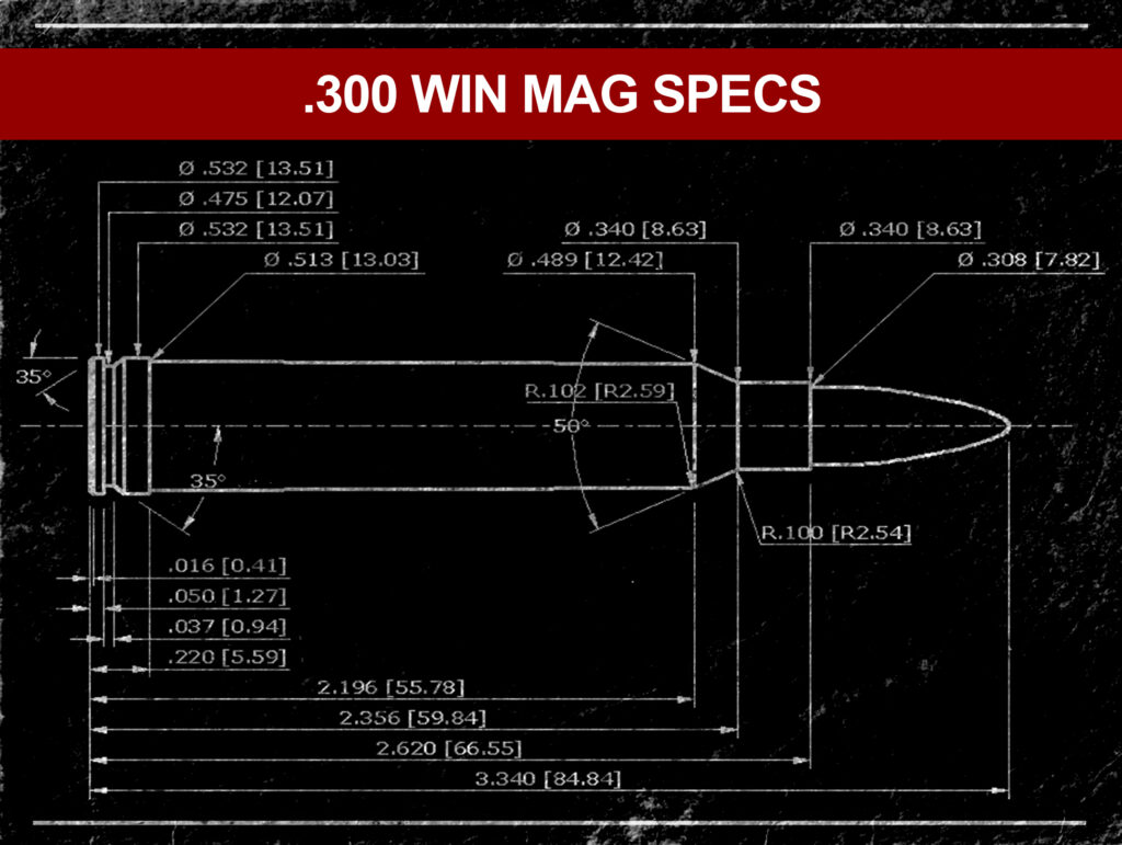 300 Win Mag VS 308 - Wideners Shooting, Hunting & Gun Blog